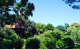 Casa Sull'albero Awen - Casa Vacanze Castiglione Del Lago